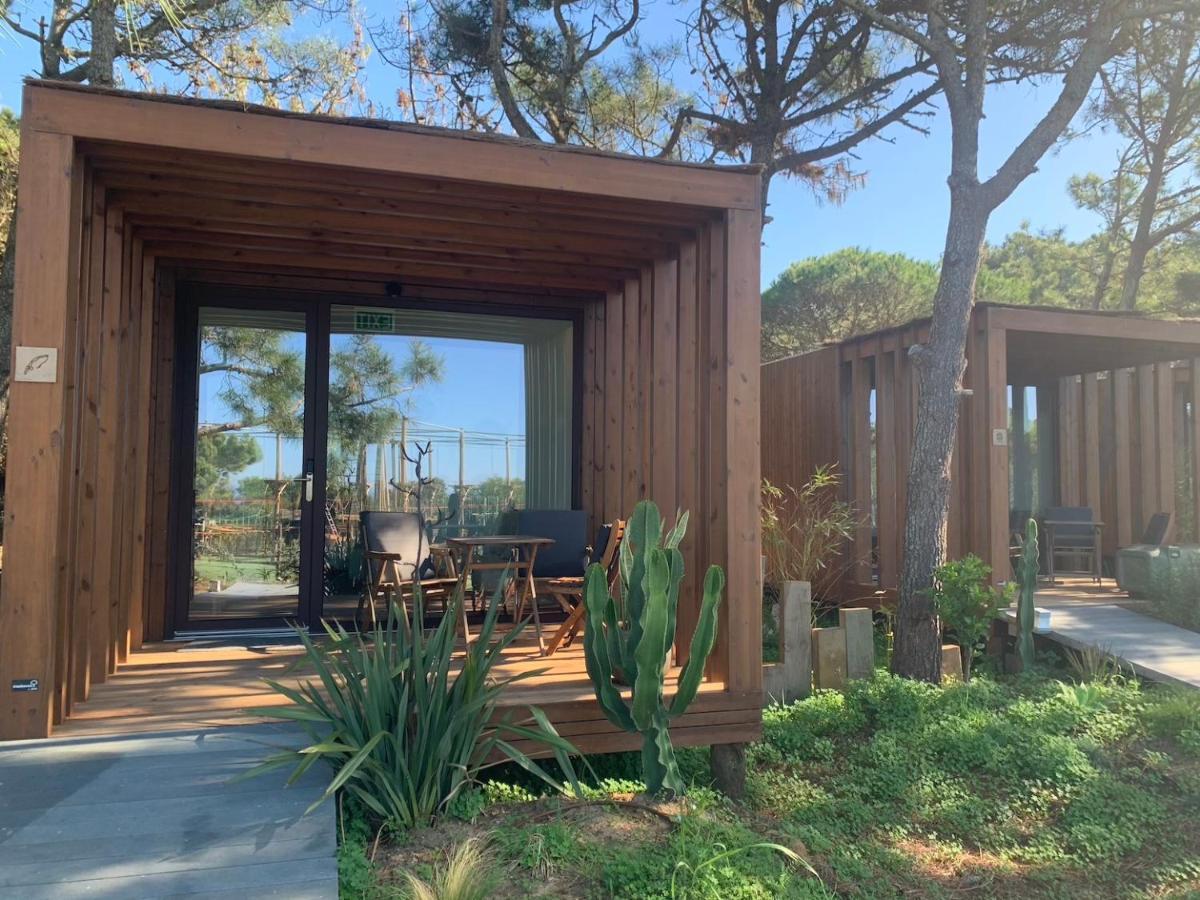 Azen Cool House Bed and Breakfast Azenhas do Mar Εξωτερικό φωτογραφία